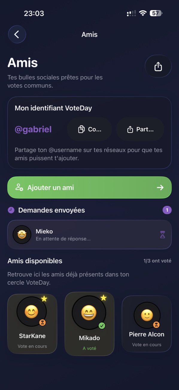 VoteDay — amis